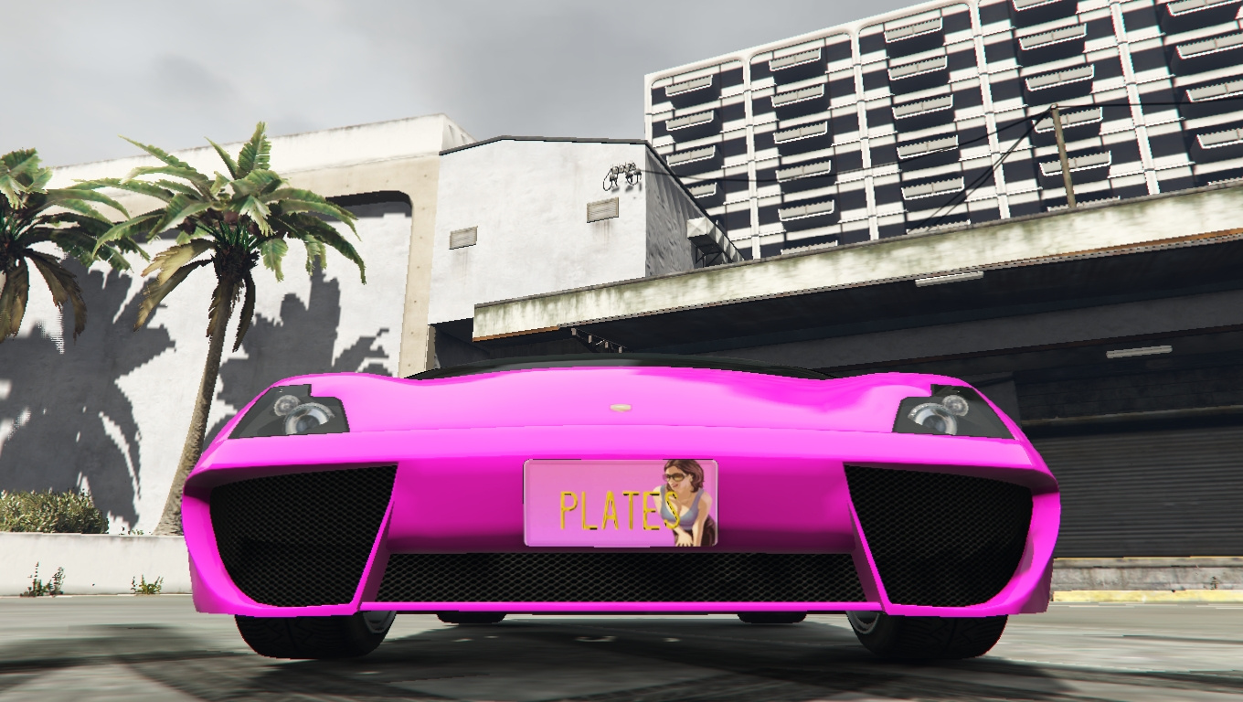 Custom License Plates Pack Gta5 Hub